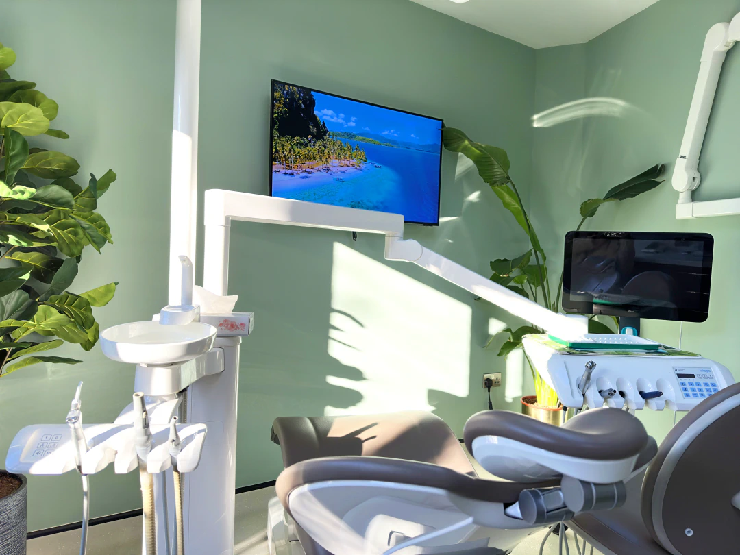 Dentozen treatment room with calming botanical atmosphere